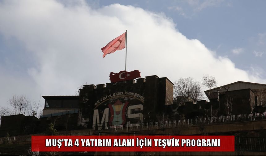 Muş’ta 4 yatırım alanı için teşvik programı: Destek alanları ve fırsatlar neler?