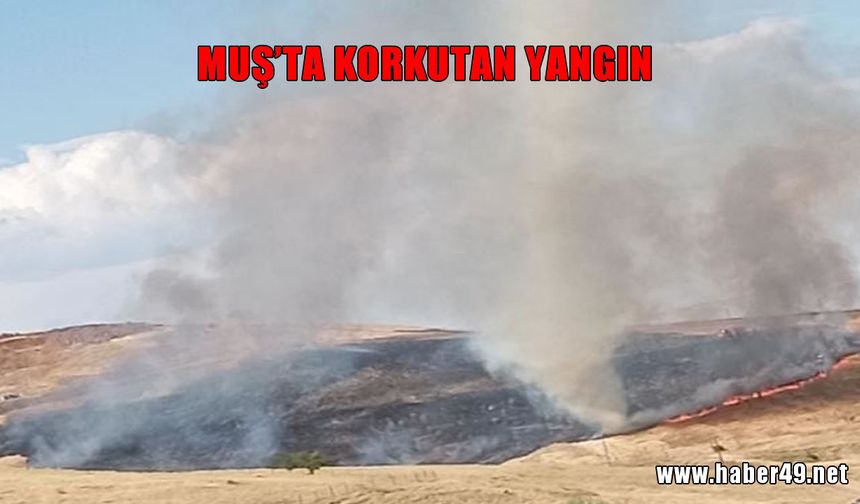 Muş'un Ağaçlık Köyü'nde korkutan yangın