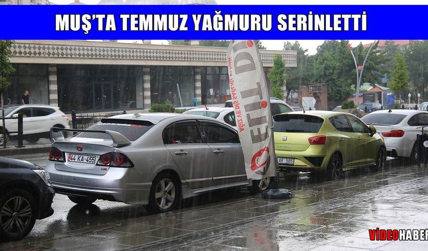 Muş’ta kavurucu sıcaklara yağmur molası!