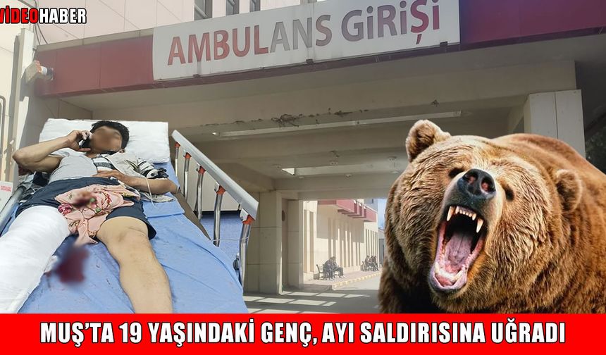Muş’ta 19 yaşındaki genç ayı saldırısına uğradı