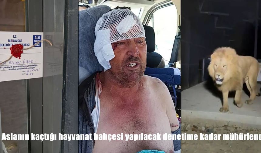 Aslanın kaçtığı Manavgat’taki hayvanat bahçesi denetime kadar mühürlendi