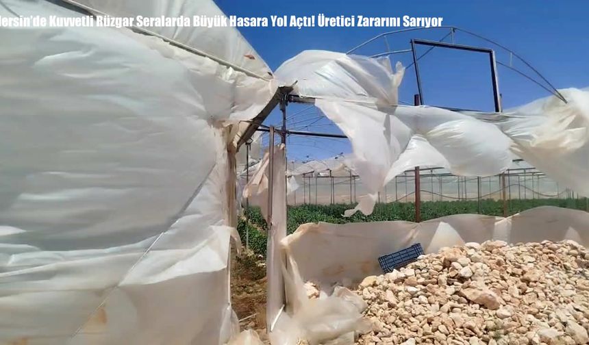 Mersin’de Kuvvetli Rüzgar Seralarda Büyük Hasara Yol Açtı! Üretici Zararını Sarıyor