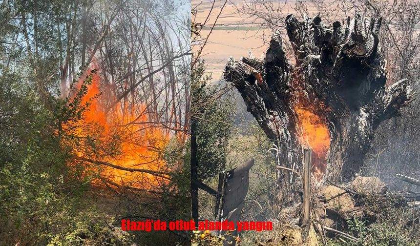 Elazığ Karakoçan’da Otluk Alanda Yangın Çıktı, Kontrol Altına Alındı