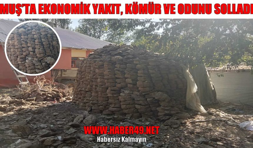 Muş’ta kışın vazgeçilmez yakıtı, doğal gaz ve kömürü geride bıraktı