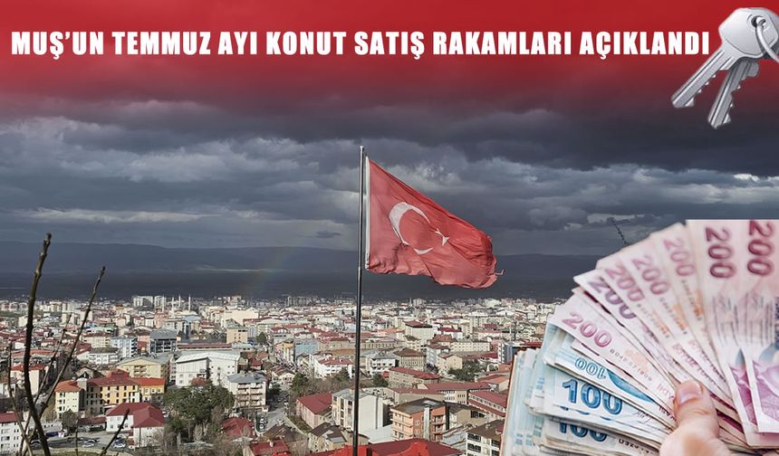 Muş’tan İstanbul’a konut hareketliliği: Temmuz satış rakamları açıklandı
