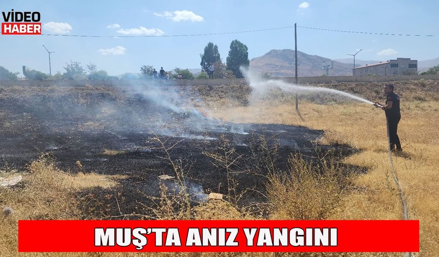 Muş’ta anız yangını ekipleri harekete geçirdi
