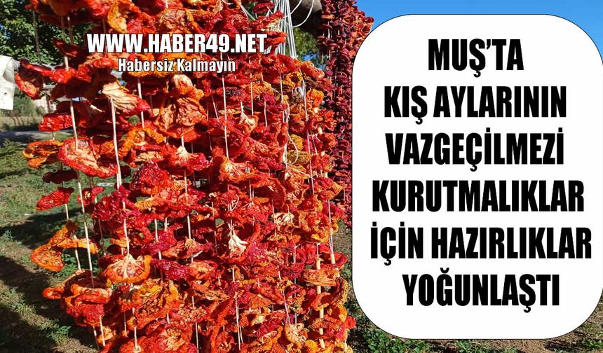 Muş’ta kış mesaisi başladı