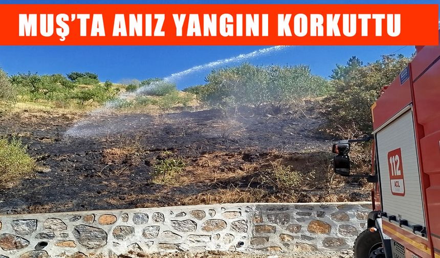 Muş’ta anız yangını paniği