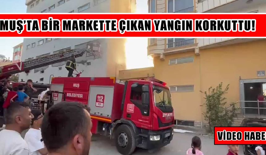 Muş’ta bir markette yangın paniği!