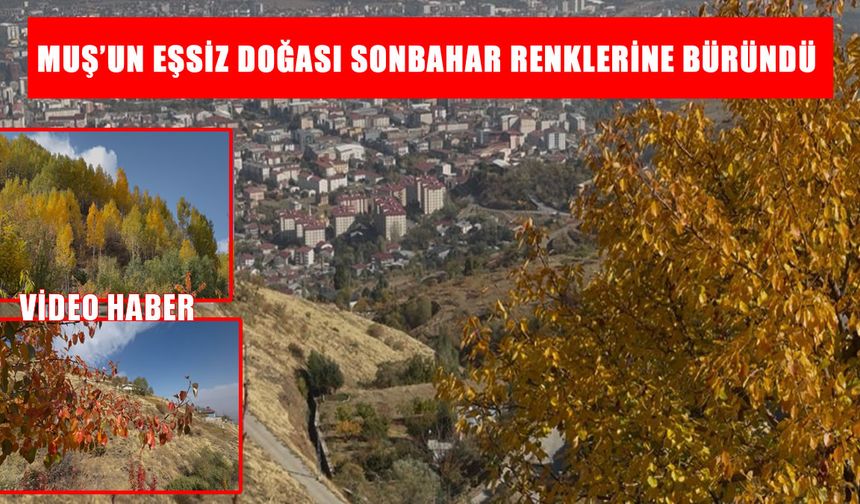 Tarih ve doğanın buluştuğu Muş'ta sonbahar
