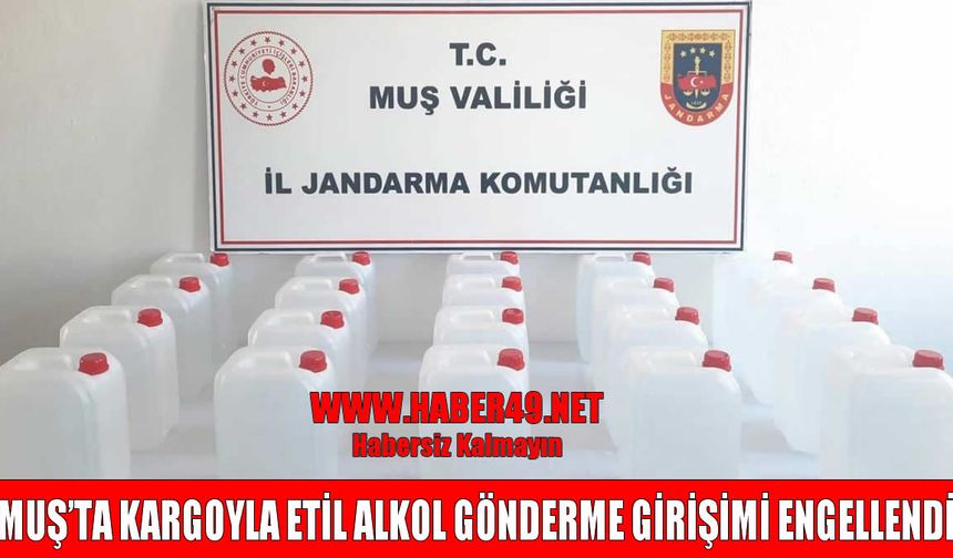 Muş'ta kargo firmasında 20 bidon etil alkol ele geçirildi