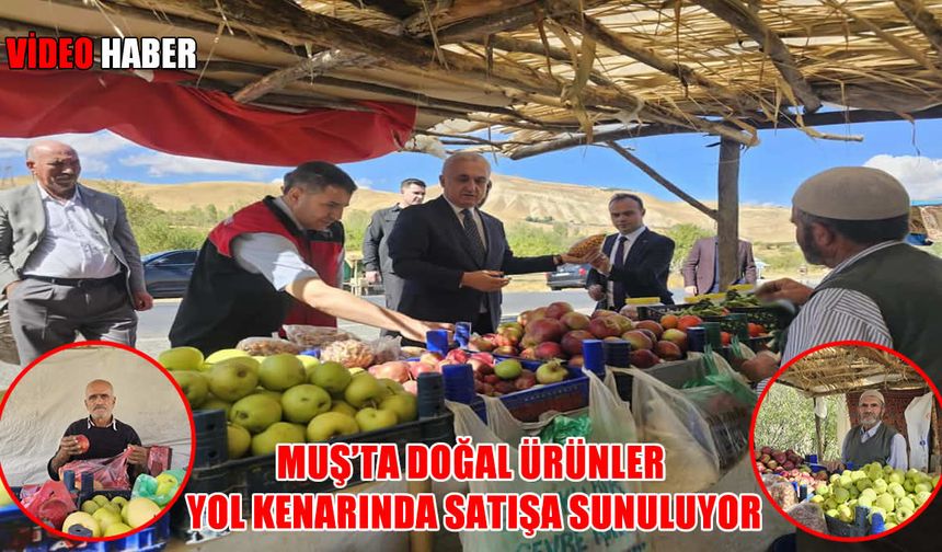 Hem doğal hem ekonomik: Muşlu köylüler tarlada yetiştirip yol kenarında satıyorlar
