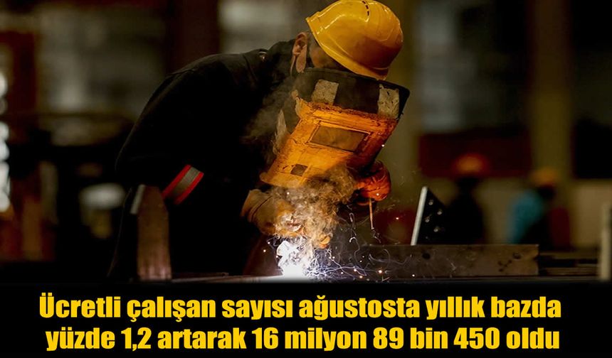 Türkiye'de Ücretli Çalışan Sayısında Şaşırtan Artış: Hangi Sektörler Zirvede?