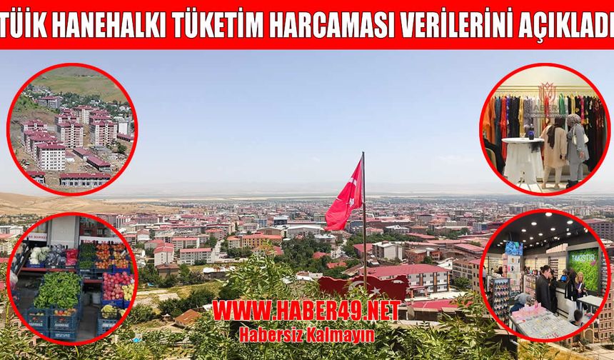 Muş ve TRB2 bölgesinde hanehalkı tüketim harcamaları açıklandı