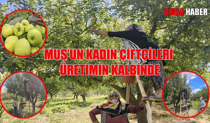 Muş’un fedakâr kadınları hayatın yükünü omuzluyor