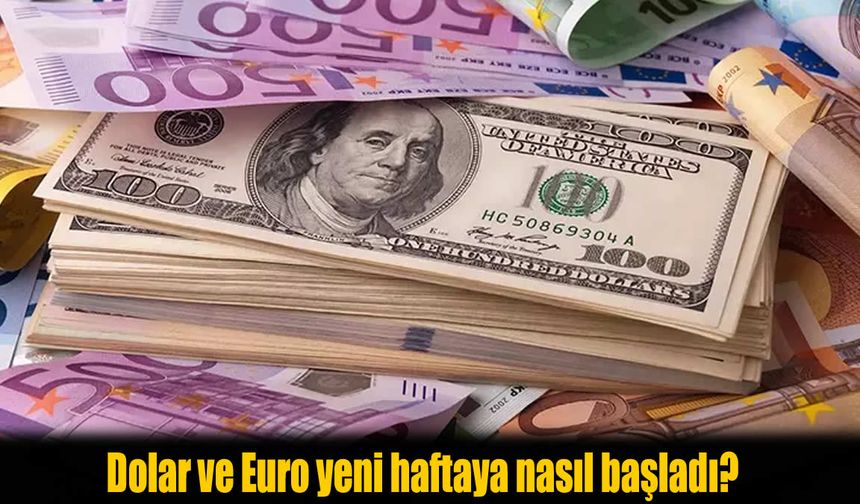 Döviz Kurları Yeni Haftaya Temkinli Başladı