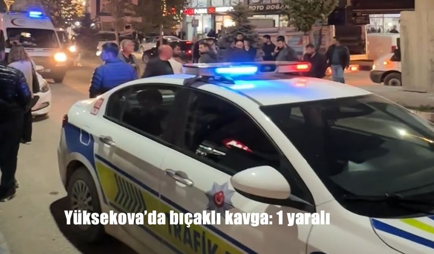 Yüksekova'da bıçaklı kavga: 1 yaralı