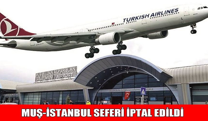 Muş uçağına kuş çarptı: İstanbul seferi iptal edildi