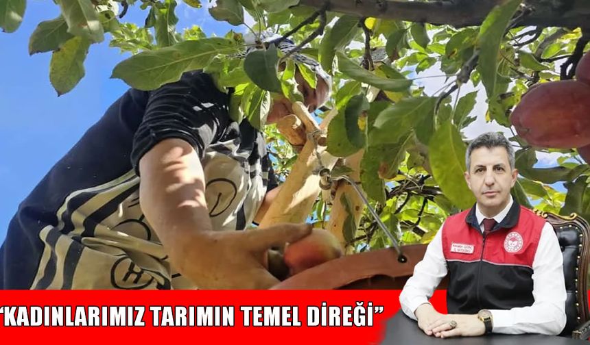Muş Tarım ve Orman İl Müdürü Gönç: Kadınlarımız, üretimin kalbini oluşturuyor