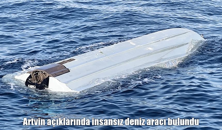 Karadeniz kıyılarında tedirgin eden cisim