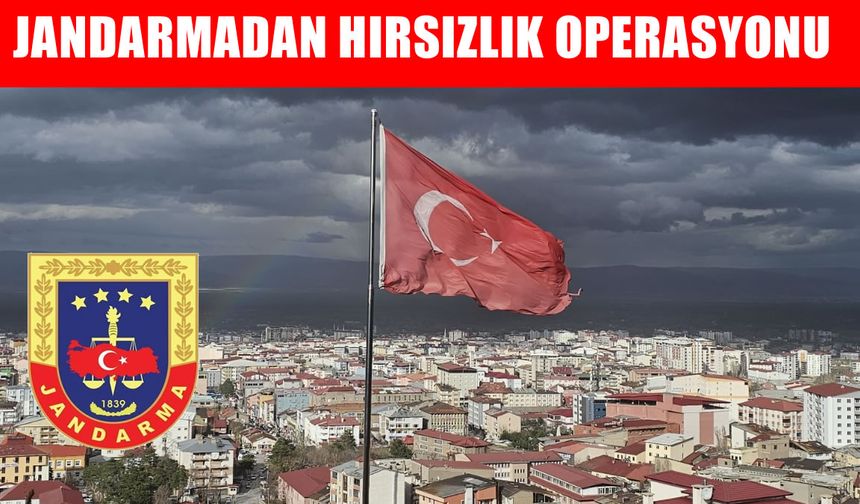 Muş’ta hırsızlık olayı jandarmanın müdahalesiyle çözüldü
