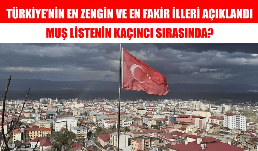 Türkiye’nin en zengin illeri açıklandı: Muş kaçıncı sırada?
