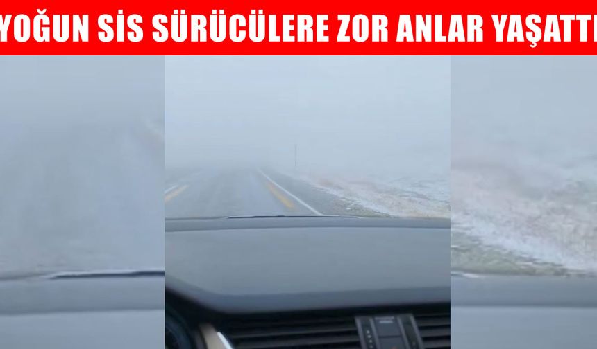 Muş-Kulp yolunda yoğun sis sürücülere zor anlar yaşattı