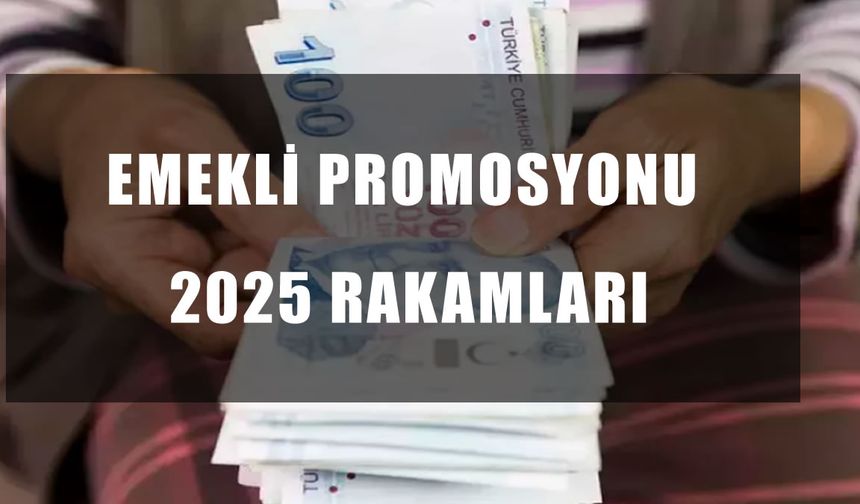 Emekli Promosyonları 2025 Kasım: Bankalar Arasında Rekabet Kızıştı! 30 Bin TL’ye Varan Ek Ödeme Fırsatları