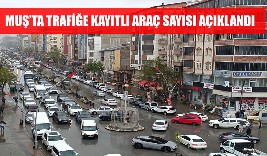 TÜİK açıkladı: Muş'ta trafiğe kayıtlı araç sayısı arttı