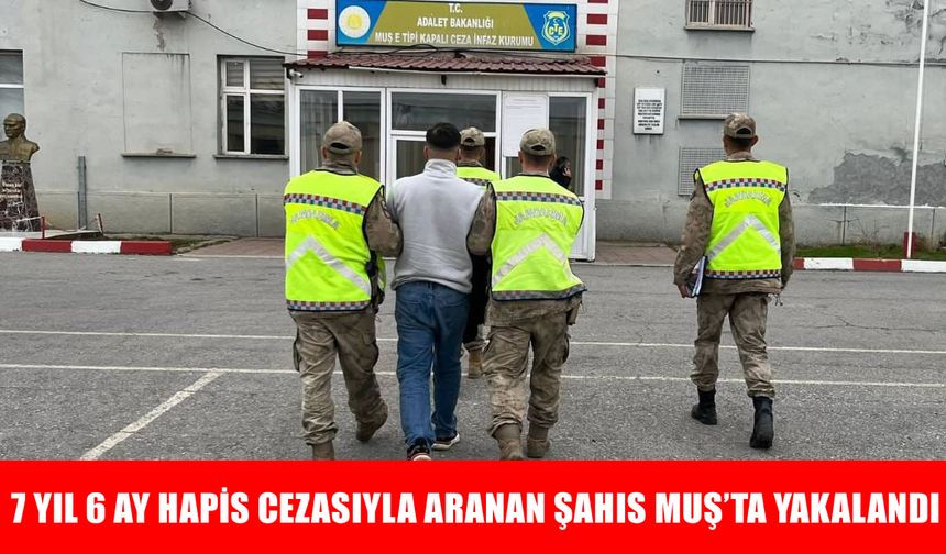 Bursa'da 7 yıl hapis cezasıyla aranan şahıs, Muş'ta yakalandı
