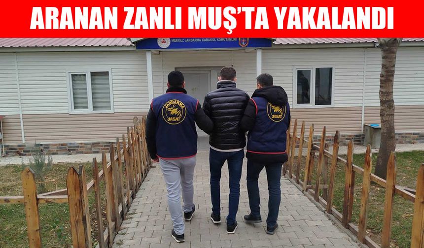 3 yıl hapis cezası olan dolandırıcı Muş'ta yakalandı