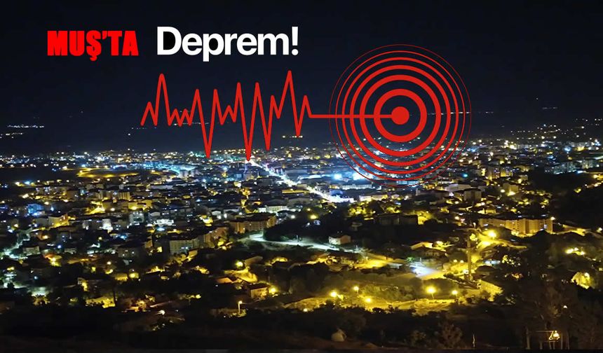 SON DAKİKA: Muş Taşoluk Köyünde deprem!