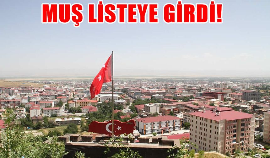 Türkiye’nin en yüksek kira getirisi sunan illeri açıklandı: Muş listeye girdi!