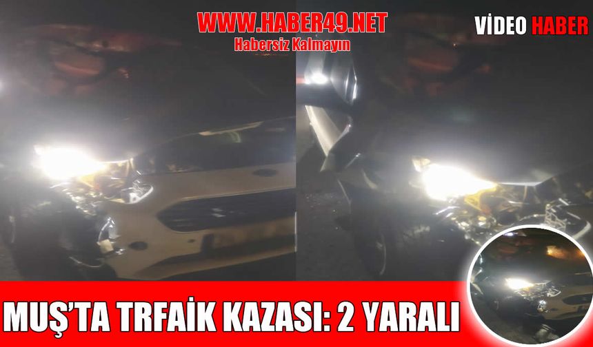 Muş'ta hafif ticari aracın çarptığı at telef oldu, 2 kişi yaralandı