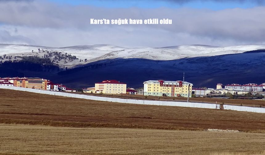Kars'ta soğuk hava etkili oldu