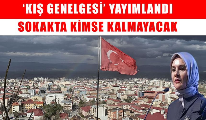 Bakanlık alarmda: Muş dahil 81 ilde kimse soğukta kalmayacak!