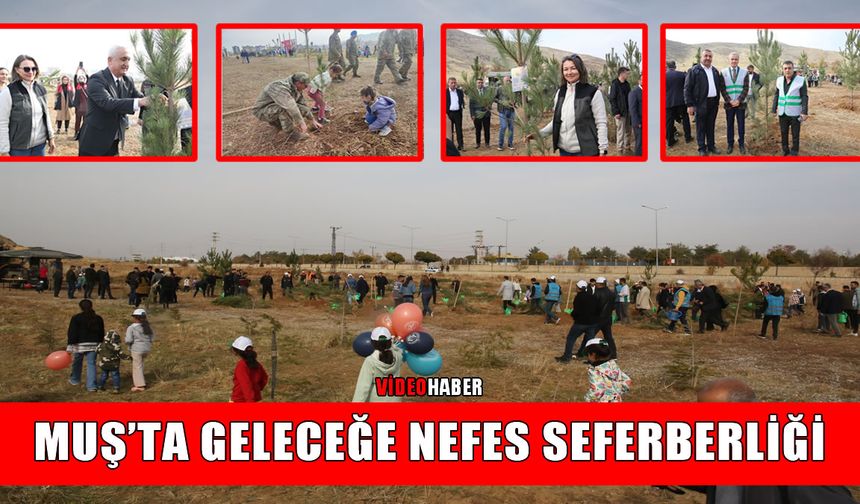 Muş’ta Milli Ağaçlandırma Günü’nde 20 bin fidan toprakla buluştu