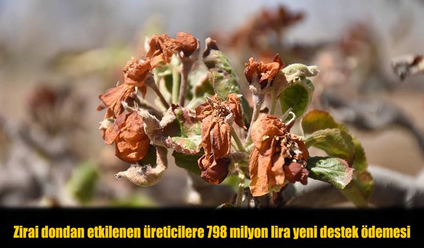 Bakan Yumaklı Duyurdu: Çiftçilere 798 Milyon Lira Destek Hesaplara Yatıyor