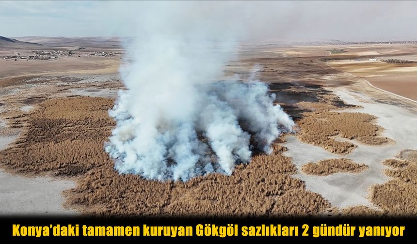 “Kuş Cenneti” Gökgöl’de Yangın: Kuruyan Sazlıklar 48 Saattir Yanıyor