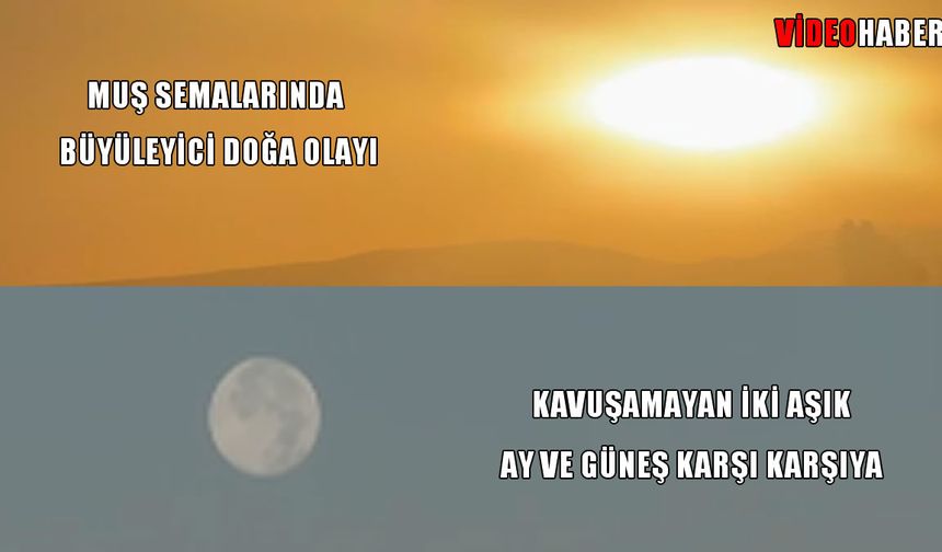 Muş'ta güneş ve ay aynı gökyüzünü süsledi