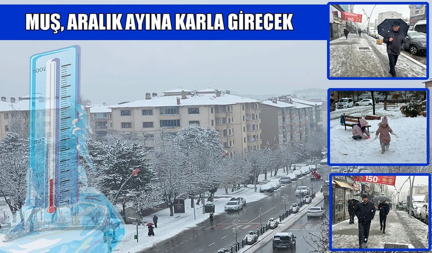 Muş, aralık ayına karlı giriş yapıyor: İşte ilçe ilçe hava tahmin raporu