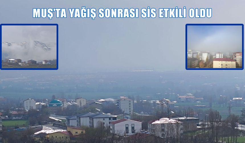 Muş sis altında: Görüş mesafesi 30 metreye düştü