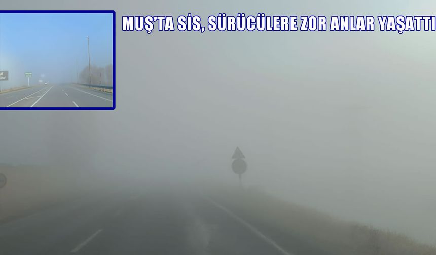 Muş'u sis kapladı: Görüş mesafesi 10 metreye düştü