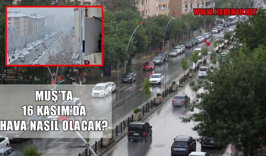 16 Kasım Pazar Muş hava durumu: Yağışlı hava hakim