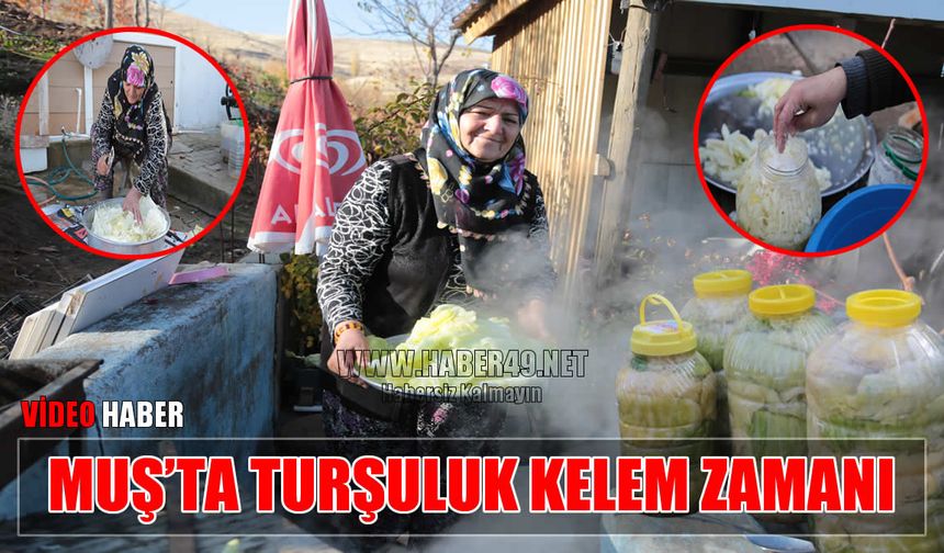 Muş'ta lahana turşusu ve çorti geleneği sürüyor