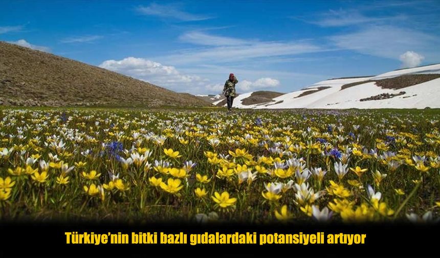 Bitki Bazlı Yatırımlar Türkiye’de Hızlanıyor, Regülasyon Bekleniyor