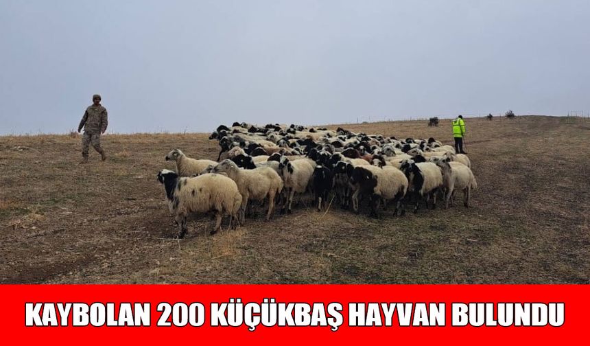 Muş'ta kaybolan 200 küçükbaş hayvan jandarma tarafından bulundu