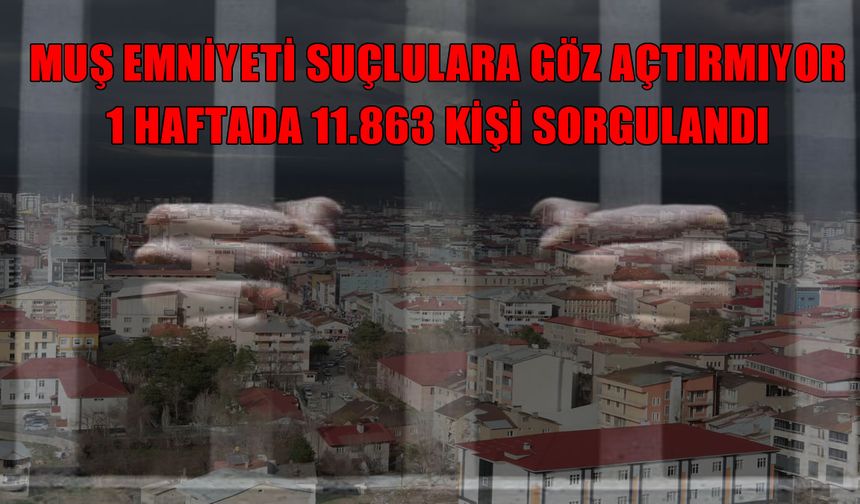 Muş'ta güvenlik önlemleri artırıldı: 11 binden fazla kişi sorgulandı
