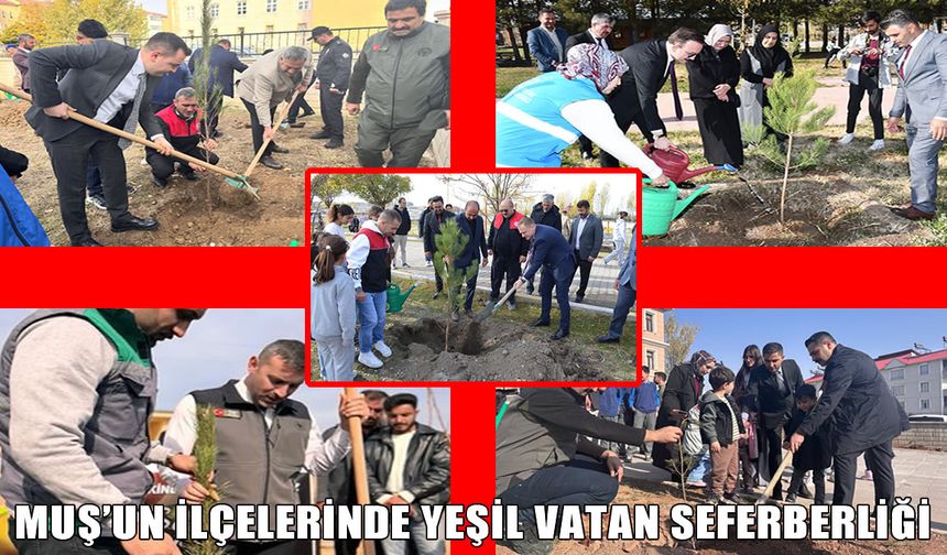 Milli Ağaçlandırma Günü: Muş’un ilçelerinde fidanlar toprakla buluştu