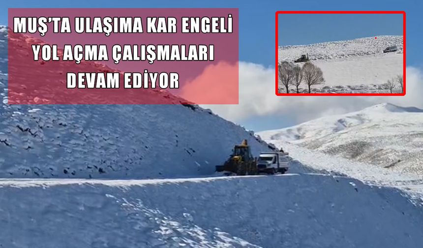 Muş’ta kar etkisini artırdı: Ulaşıma kapanan yollar temizleniyor